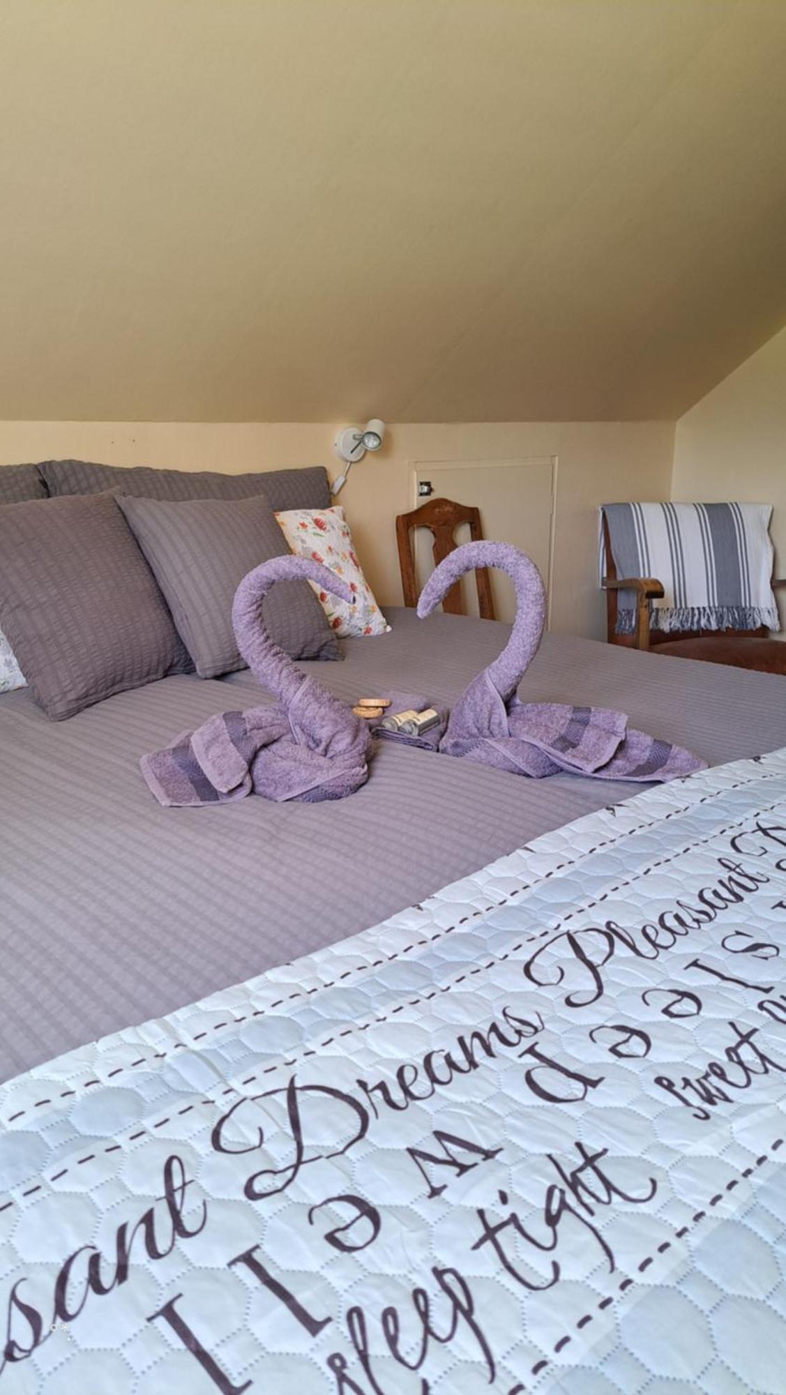 Reed Elvebakk Bed & Breakfast المظهر الخارجي الصورة